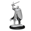 D&D Nolzur’s Marvelous Unpainted Minis Half-Elf Male Paladin