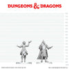D&D Nolzur’s Marvelous Unpainted Minis Knight & Mage Apprentice