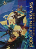 Dungeons & Dragons RPG Forgotten Realms Heroes of Faerun (Ltd Ed)