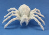 Bones - Giant Spider