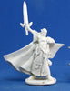 Bones - Turanil, Male Elf Paladin