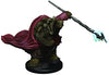 D&D Icons Premium Tortle Male Monk