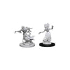 D&D Nolzur’s Marvelous Unpainted Minis Wraith & Specter