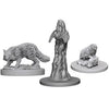 PF Deep Cuts Unpainted Minis Familiars