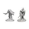 D&D Nolzur’s Marvelous Unpainted Minis Human Male Paladin