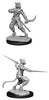 D&D Nolzur’s Marvelous Unpainted Minis Tabaxi Male Rogue